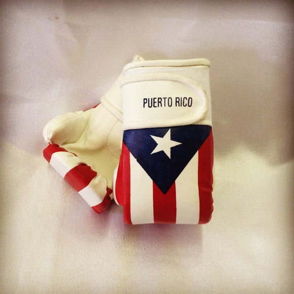 Puerto Rico Flag Boxing Gloves