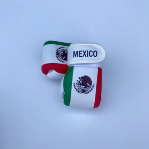 Mexico Flag Baby Boxing Gloves